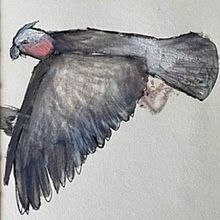 My project for course: From Botanical Drawings to Narrative Illustration. Traditional illustration, Drawing, Botanical Illustration, Narrative, and Naturalistic Illustration project by Pina Carrubba - 05.09.2024