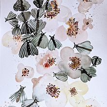 Mi proyecto del curso: Acuarela floral: conecta con la naturaleza. Traditional illustration, Painting, Watercolor Painting, Botanical Illustration, and Design project by PALOMA BALAGUER - 05.28.2024