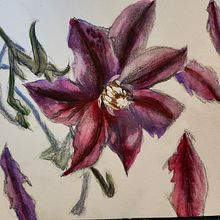 My project for course: Botanical Illustration with Watercolors. Traditional illustration, Fine Arts, Painting, Drawing, Watercolor Painting, and Botanical Illustration project by lbbykowski - 05.28.2024