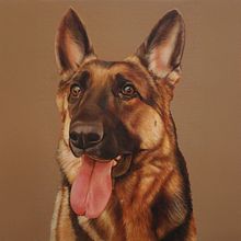 Portrait of a German Shepherd / Retrato de pastor alemán. Un proyecto de Pintura al óleo, Dibujo de Retrato, Dibujo realista, Bellas Artes, Ilustración tradicional y Pintura de Begoña Blázquez Parro - 25.04.2024