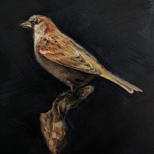 My project for course: Classical Oil Painting for Naturalist Bird Portraiture. Fine Arts, Painting, Oil Painting, and Naturalistic Illustration project by Jessica George - 05.28.2024