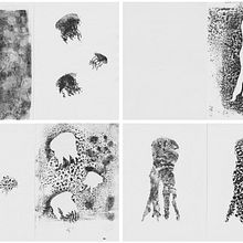 Mi proyecto del curso: Ilustración de animales con carboncillo y tinta. Un progetto di Belle arti, Disegno, Illustrazione con inchiostro e Illustrazione naturalistica di marcmarc - 28.05.2024