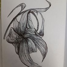 Il mio progetto del corso: Illustrazione su sketchbook con penna: sbaglia con stile. Un progetto di Bozzetti, Disegno, Sketchbook e Illustrazione con inchiostro di valentina_mascaro - 29.05.2024