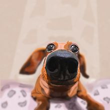 My project for course: Caricature Drawing with Infinite Painter. Un proyecto de Ilustración tradicional e Ilustración digital de Katalin Galambos - 29.05.2024