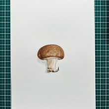 Mon projet du cours : Illustration botanique à l'aquarelle : la technique des hachures. Fine Arts, Painting, Watercolor Painting, and Botanical Illustration project by Bertrand Haulotte - 05.30.2024