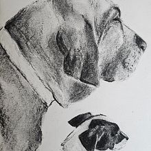My project for course: Animal Illustration with Charcoal and Ink. Artes plásticas, Desenho, Ilustração com tinta e Ilustração naturalista projeto de heba_makhlouf - 30.05.2024