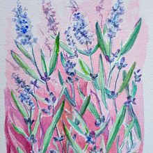 Mein Abschlussprojekt für den Kurs: Negative Aquarelltechniken zur botanischen Illustration . Ilustrație tradițională, Pictură în acuarelă & Ilustrație botanică de Heidrun Kretschmer - 05.31.2024