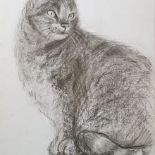 My project for course: Expressive Drawing with Charcoal. Un projet de Beaux Arts, Dessin, Dessin de portrait et Illustration naturaliste de nyuma_misa - 31.05.2024