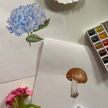 My project for course: Botanical Watercolor Illustration: Cross-hatching Technique. Projekt z dziedziny  Sztuki piękne,  Malarstwo, Malowanie akwarelą, R i sunek botaniczn użytkownika Kateryna Koiliak - 30.05.2024