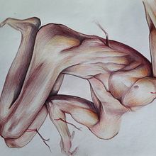 Mi proyecto del curso: Ilustración realista con bolígrafos de colores. Traditional illustration, Fine Arts, Drawing, Portrait Drawing, Realistic Drawing, and Artistic Drawing project by sbaffinatalia - 05.31.2024
