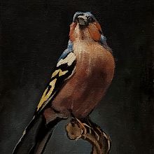  Oil Painting for Naturalist Bird Portraiture. Fine Arts, Painting, Oil Painting, and Naturalistic Illustration project by Petra Chriastelova - 06.01.2024