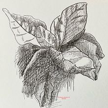 Mon projet du cours : Carnet de croquis : illustrez vos expériences personnelles Ein Projekt aus dem Bereich Traditionelle Illustration, Skizzenentwurf, Zeichnung, Sketchbook und Illustration mit Tinte von christiane_ravallec - 02.06.2024