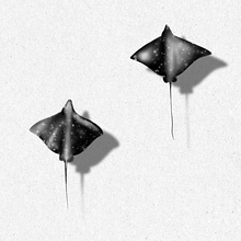 Mój projekt z kursu: Projektowanie i ilustrowanie tatuaży cyfrowych za pomocą programu Procreate. Un proyecto de Ilustración tradicional, Diseño gráfico, Ilustración digital, Diseño de tatuajes, Dibujo digital y Diseño de dadajamajka - 02.06.2024