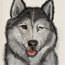 Mój projekt z kursu: Naturalistyczne ilustracje zwierząt w programie Procreate. Un progetto di Illustrazione tradizionale, Illustrazione digitale, Disegno realistico e Illustrazione naturalistica di Dorota Korcz - 02.06.2024
