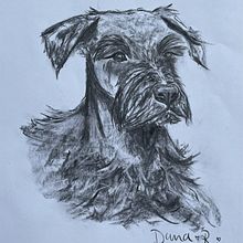 Mi proyecto del curso: Ilustración de animales con carboncillo y tinta. Un proyecto de Bellas Artes, Dibujo, Ilustración con tinta e Ilustración naturalista				 de Dana Román - 02.06.2024