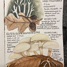 Mein Abschlussprojekt für den Kurs: Reisetagebuch: Illustration mit Mischtechniken. Drawing, Watercolor Painting, Sketchbook, Ink Illustration, and Colored Pencil Drawing project by Anke Weber - 06.03.2024