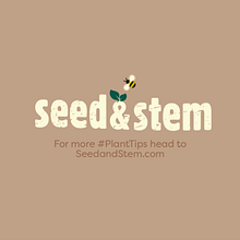 Plant Tips Project . % Oyinloluwa Adedoyin tarafından hazırlanan Sanat Yönetmenliği, Metin, azarlığı, Hika, e anlatımı, İçerik Pazarlaması, Ve İletişim projesi - 01.02.2024