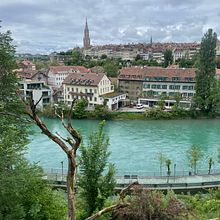 My project for course: Beginner’s Photography: Basic Camera Use and Theory. Fotografia, Fotografia digital, e Composição fotográfica projeto de nikolinanika - 03.06.2024