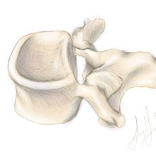Mi proyecto del curso: Dibujo anatómico con lápiz de grafito para principiantes. Un progetto di Belle arti, Disegno a matita, Disegno, Disegno realistico e Disegno anatomico di Yazmín García - 05.06.2024