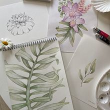 My project for course: Artistic Techniques for Illustrating Nature. Projekt z dziedziny Trad, c, jna ilustracja, Malowanie akwarelą, Malarstwo akr, lowe, R, sunek botaniczn,  R, sunek atramentem, R i sowanie kredkami użytkownika Kateryna Koiliak - 06.06.2024