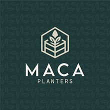 Mi proyecto del curso: Diseño de identidad MACA PLANTERS. Design, Br, ing, Identit, Graphic Design, Logo Design, T, pograph, and Design project by gustavoparradg - 06.04.2024