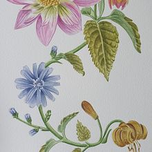 Mi proyecto del curso: Acuarela realista para composiciones botánicas. Traditional illustration, Painting, Drawing, Watercolor Painting, and Botanical Illustration project by edelestalc - 06.09.2024