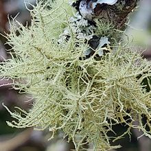 Lo hermoso de lo simple  . Fotografie de andre6318 - 06.10.2024