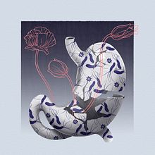 Helicobacter Pylori. Digital Illustration, and Editorial Illustration project by Noelia de Alda - 06.10.2024