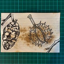 My project for course: Illustrated Travel Sketchbook: Recording Nature. Pencil Drawing, Drawing, Watercolor Painting, Sketchbook, and Naturalistic Illustration project by Louise Iddon - 06.10.2024