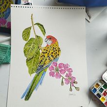 Mi proyecto del curso: Acuarelas: arte realista de aves y naturaleza. Fine Arts, Pencil Drawing, Drawing, Watercolor Painting, Realistic Drawing, and Naturalistic Illustration project by Juancarlos Londono - 06.11.2024