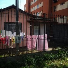 ephemeridades . % Fernanda Mendes tarafından hazırlanan Fotoğrafçılık projesi - 06.05.2024