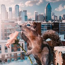 Seeking spring. Projekt z dziedziny Fotografia użytkownika Monse Rivera - 13.06.2024