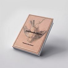 Couverture du livre Perturbation de Thomas Bernhard. Design, Photo Retouching, Creativit, Editorial Illustration, and Presentation Design project by Laure Lampson - 05.15.2024