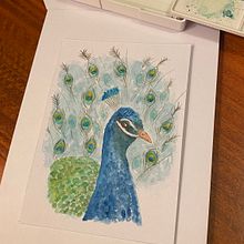 Pavo real. Projekt z dziedziny Malowanie akwarelą użytkownika CatitArt - 14.06.2024