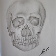 Mi proyecto del curso: Dibujo anatómico con lápiz de grafito para principiantes. Artes plásticas, Desenho a lápis, Desenho, Desenho realista, e Desenho anatômico projeto de Andrea Barillas - 14.06.2024