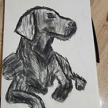 Mon projet du cours : Illustration d'animaux au fusain et à l'encre. Artes plásticas, Desenho, Ilustração com tinta e Ilustração naturalista projeto de SIHAM HABBADI - 17.06.2024