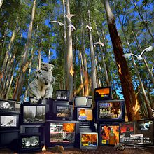 My project for course: Digital Collage in Photoshop: Composition and Visual Effects. Een project van Fotografie, Collage, Retoucheren van foto's, Artistieke fotografie, Fotografische compositie y Fotomontage van Daria Antonescu - 18.06.2024