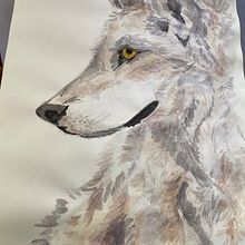 Acuarelas - Puppies. Un projet de Aquarelle , et Peinture de lucia lopez - 18.06.2024