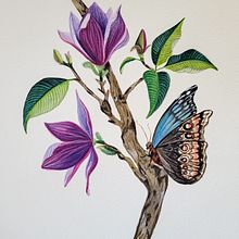 Meu projeto do curso: Ilustração naturalista com guache e aquarela. Fine Arts, Painting, Watercolor Painting, Botanical Illustration, Naturalistic Illustration, and Gouache Painting project by danieladelmondes191 - 06.16.2024