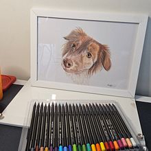 Meu projeto do curso: Retratos de pets a lápis de cor. Un progetto di Illustrazione tradizionale e Illustrazione naturalistica di vaarruda_jornalista - 11.06.2024