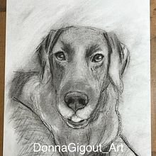 My project for course: Animal Illustration with Charcoal and Ink. Fine Arts, Drawing, Ink Illustration, and Naturalistic Illustration project by Donna G - 06.20.2024