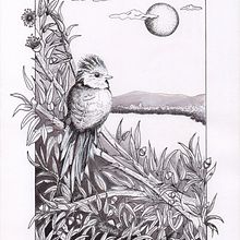 Mi proyecto del curso: Ilustración con tinta y plumilla: captura el mundo natural. Drawing, Artistic Drawing, Ink Illustration, Naturalistic Illustration, Sketching, and Sketchbook project by norma mainero - 06.20.2024