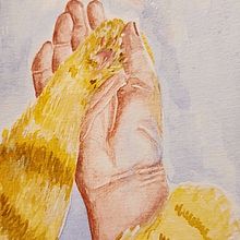 Meu projeto do curso: Ilustração de mãos expressivas em aquarela. Painting, Watercolor Painting, and Figure Drawing project by Rafaela Pascoli Camargo - 04.20.2024