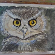 My Art Journey so Far. Un projet de Peinture de Jane Darke - 21.06.2024