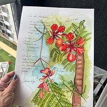 Flamboyan Ein Projekt aus dem Bereich Aquarellmalerei von Angelica Angulo Castellar - 24.06.2024