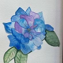 Mi proyecto del curso: Ilustración botánica en acuarela: Técnica del sombreado a rayas Ein Projekt aus dem Bereich Bildende Künste, Aquarellmalerei und Botanische Illustration von Wima Dathe - 24.06.2024