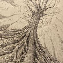 Opwaartse kronkel. Un progetto di Disegno a matita di aardkronkel - 03.01.2024