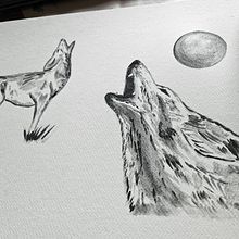 My project for course: Animal Illustration with Charcoal and Ink. Un projet de Beaux Arts, Dessin, Illustration à l'encre et Illustration naturaliste de Kat Todor - 23.06.2024