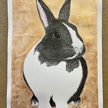 Retrato de mascotas . Traditional illustration project by Sofia Morillas - 06.21.2024