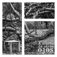 A través de otros ojos. . Photograph, and Video project by Daniel Romero - 06.25.2024